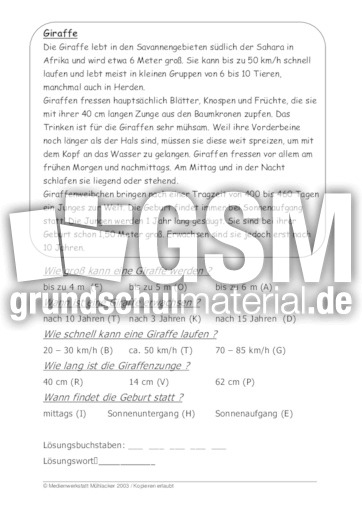 Giraffe.pdf